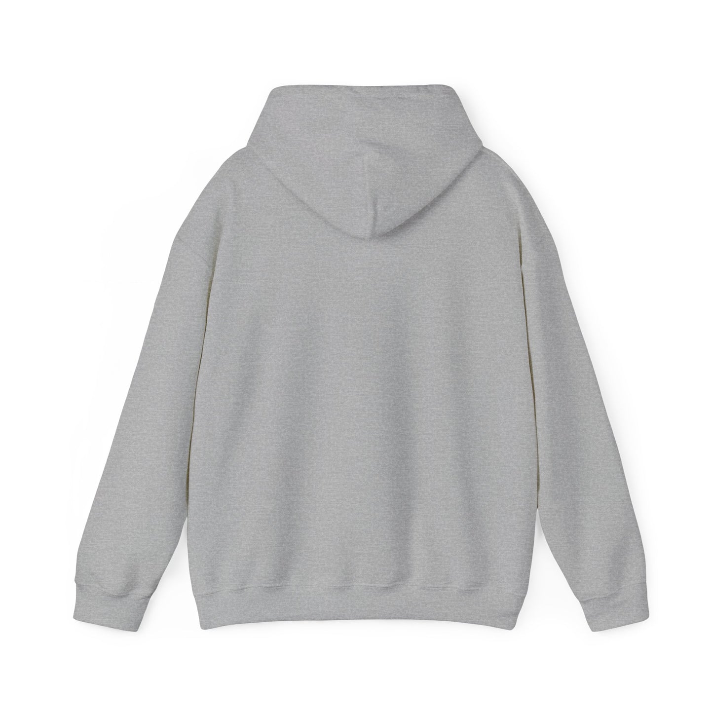 MSG, Obviously Hoodie